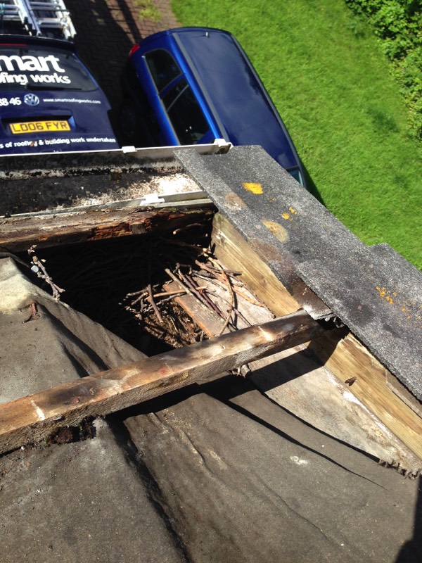 roof leak repairs cardiff