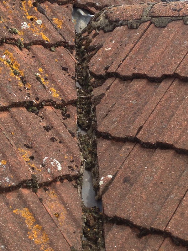 Roof repairs cardiff